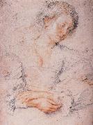 Peter Paul Rubens The Girl USA oil painting artist